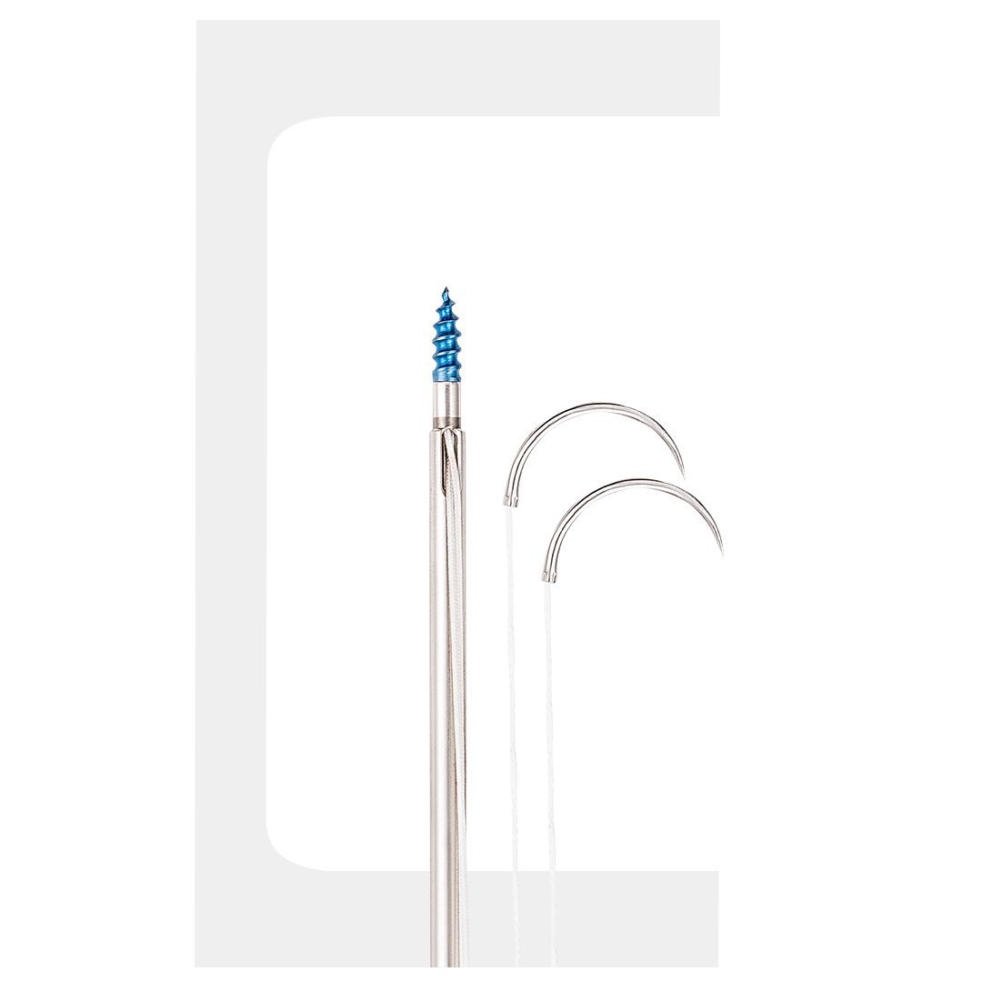 Distal Biceps Ruptures